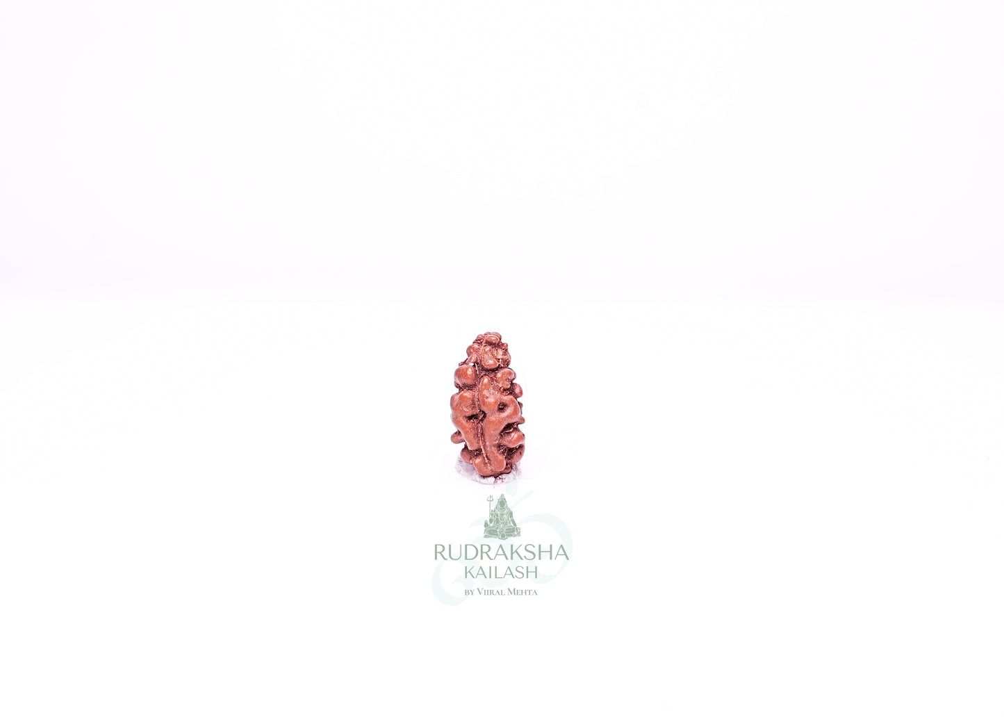 1 Mukhi Indonesian Rudraksha - 0106