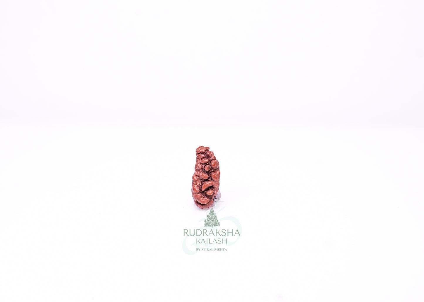 1 Mukhi Indonesian Rudraksha - 0106