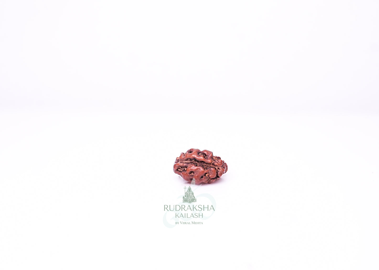 1 Mukhi Indonesian Rudraksha - 0107