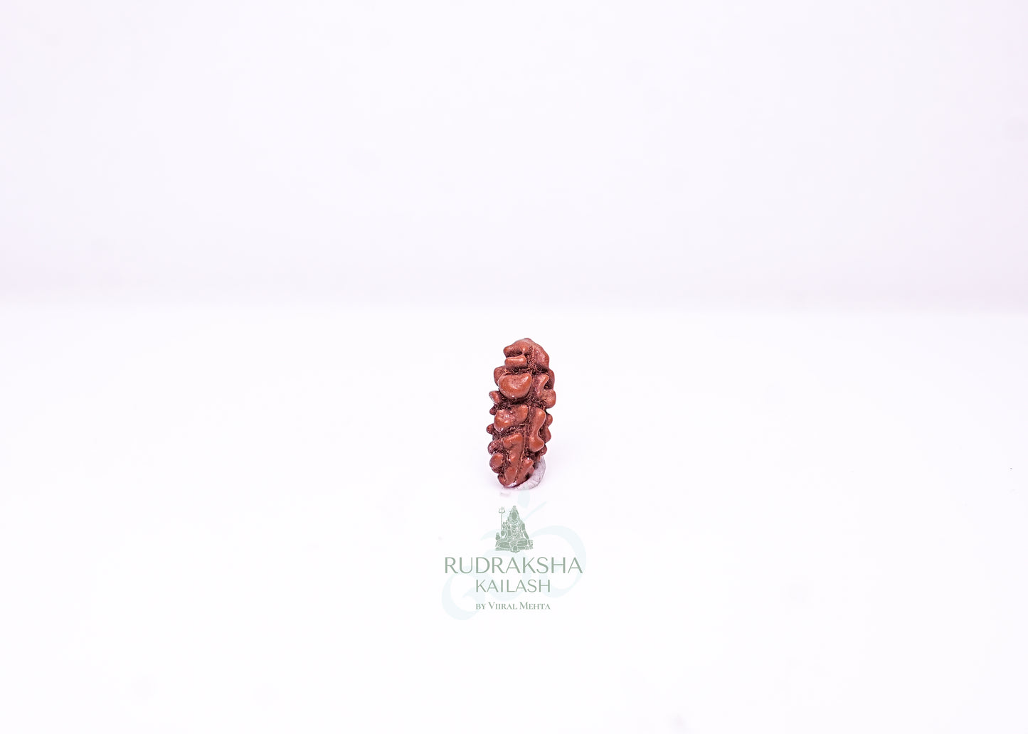 1 Mukhi Indonesian Rudraksha - 0108
