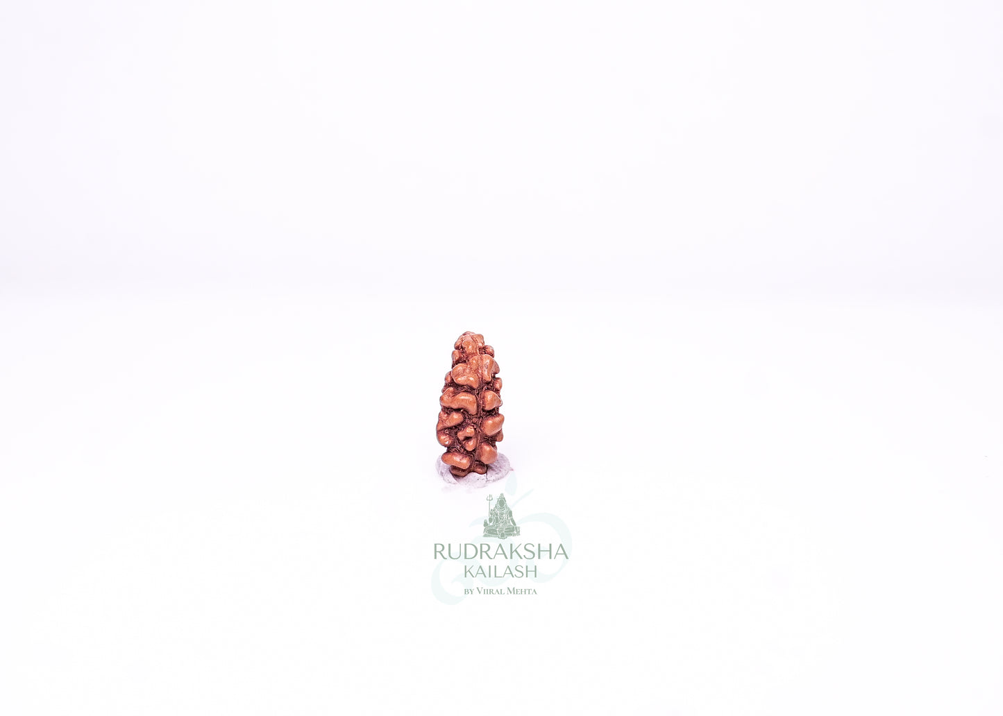 1 Mukhi Indonesian Rudraksha - 0109