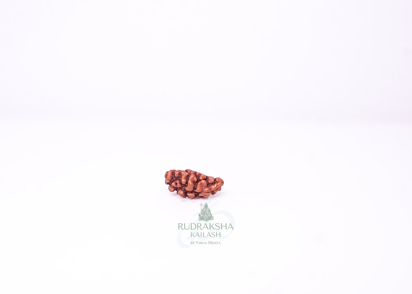1 Mukhi Indonesian Rudraksha - 0109