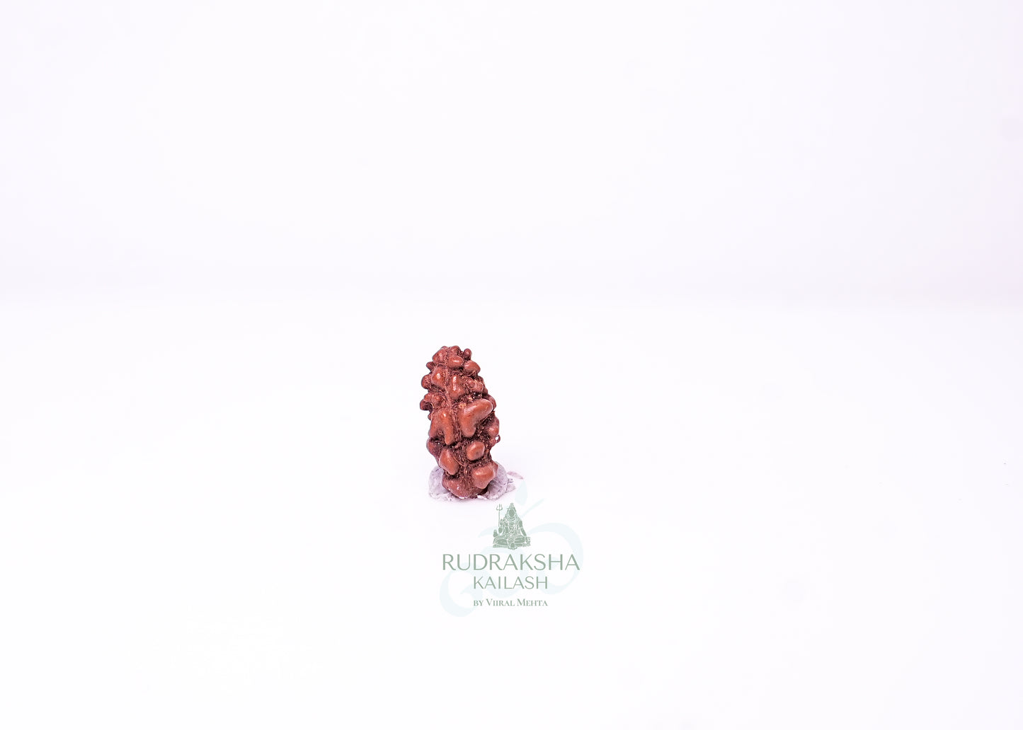 1 Mukhi Indonesian Rudraksha - 0110