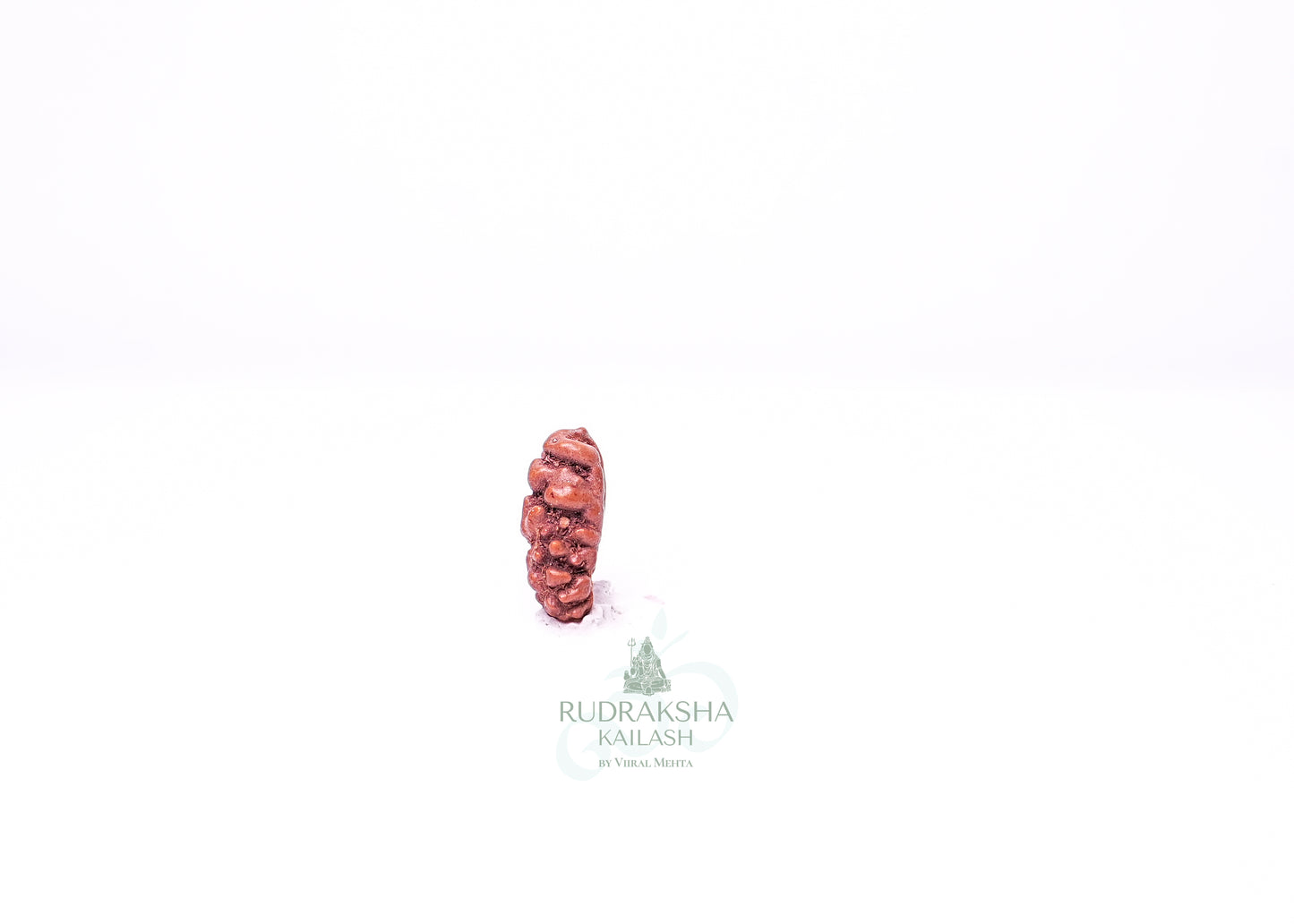 1 Mukhi Indonesian Rudraksha - 0110