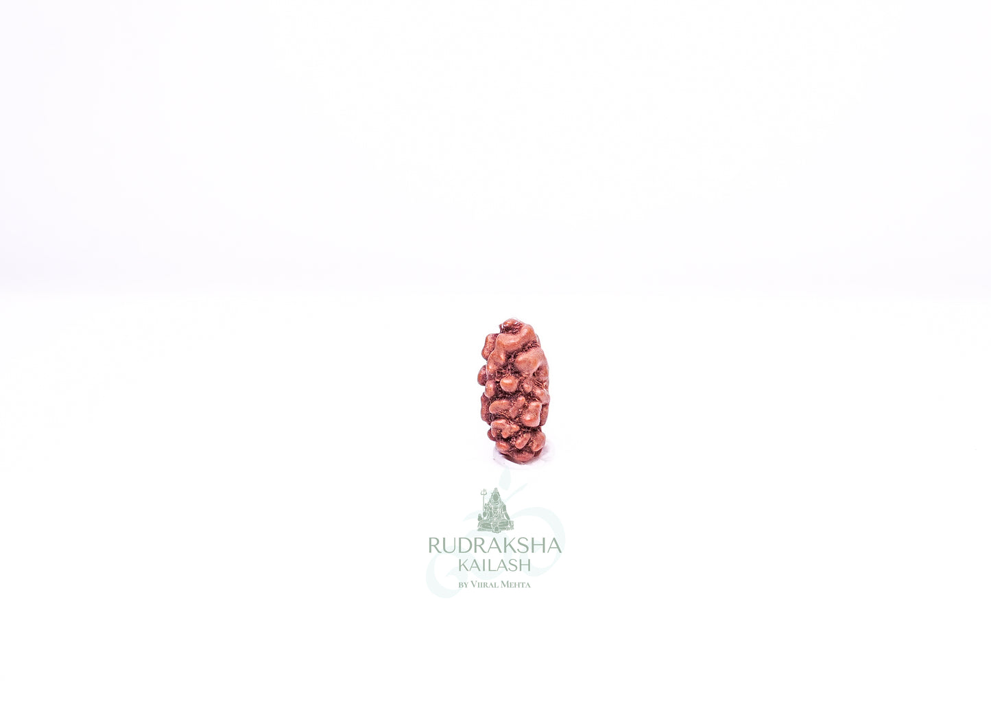 1 Mukhi Indonesian Rudraksha - 0113