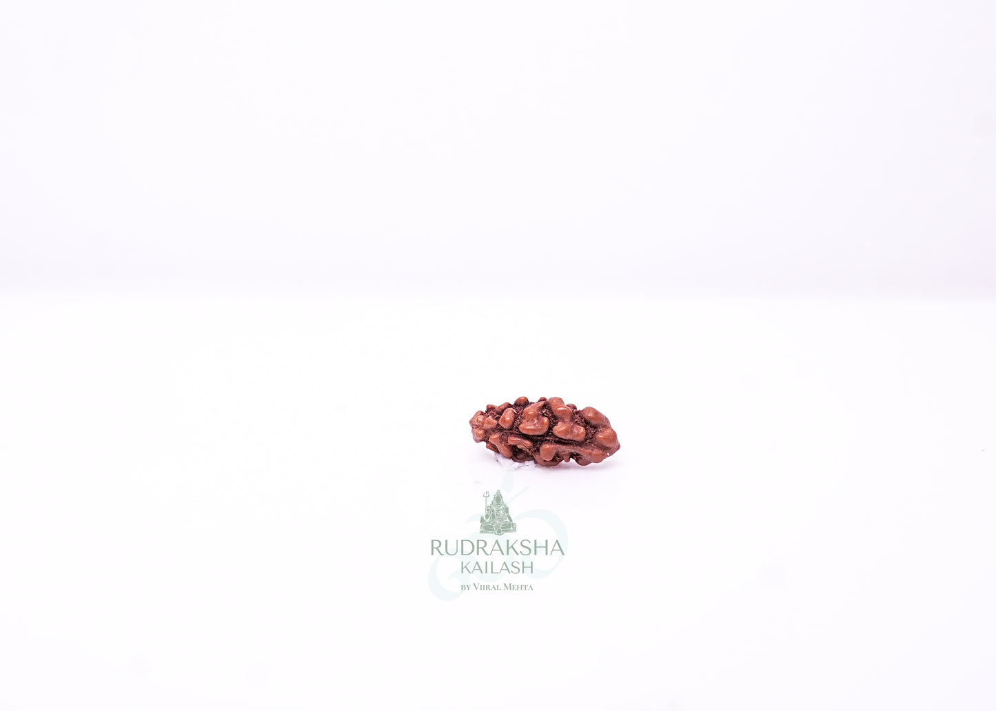 1 Mukhi Indonesian Rudraksha - 0115