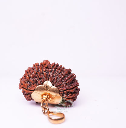19 Mukhi Nepali Rudraksha - 1910